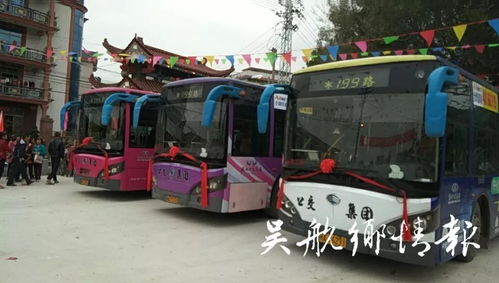 救命！这些公交攻略都是骗人的