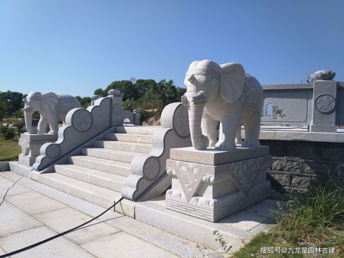 门口摆大象什么风水布局,门口摆大象什么风水布局
