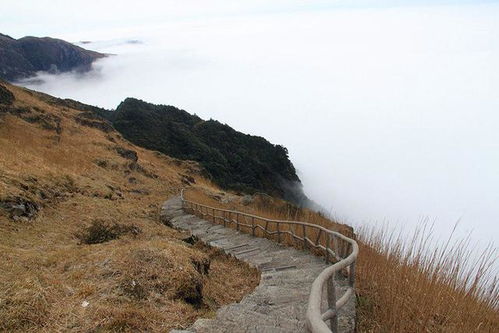 一：行程规划：精心设计您的旅程