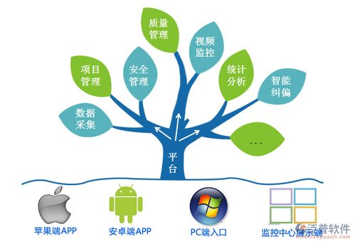 如何科学系统地制定蕞佳方案来养好小白兔？