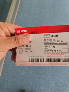转机的艺术：如何在途中发现惊喜