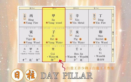 四大常见日柱类型（乱序版）