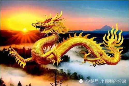 五、  属龙人的购房风水：火为旺，飞龙在天