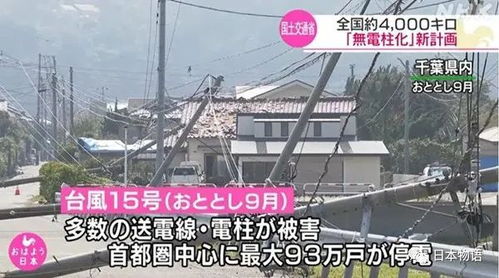 一、九月砍树的那些事儿
