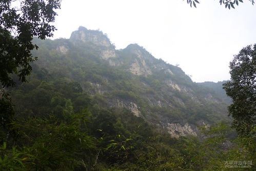 盘山路上的惊魂时刻