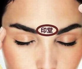 星座与印象：十二生肖和星座的奇妙交集