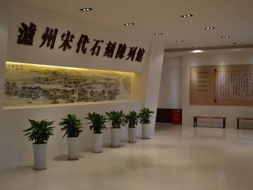活动与展览——随便挑挑，总有一款适合你！ (噪音版)