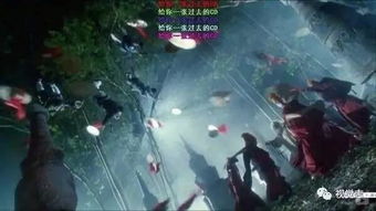 #噪音弹幕# 山语轻舍——“天窗版”亲子套房