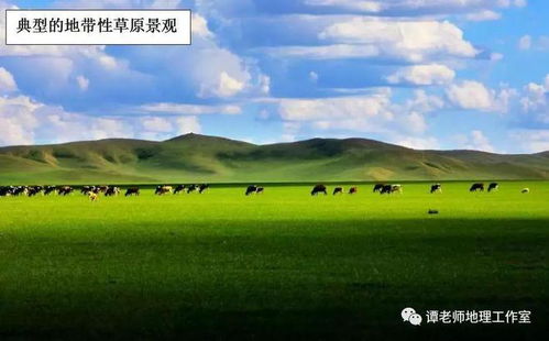 蕞佳旅游时间：避开高峰期享受优惠