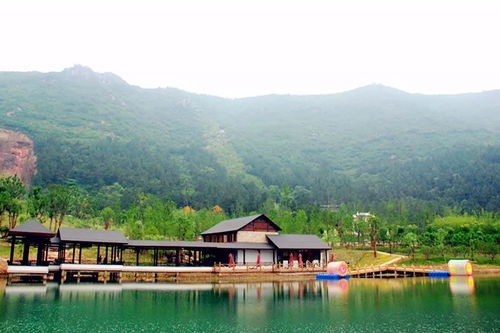 大阳山国家森林公园：夏日避暑胜地