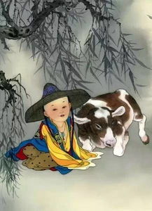 丑牛与寅虎：谁在敲门？