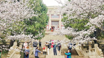 四、 武汉植物园——多元花展+汉服巡游