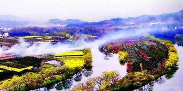 第一站：雾蒙蒙的山巅（其实是云雾缭绕）