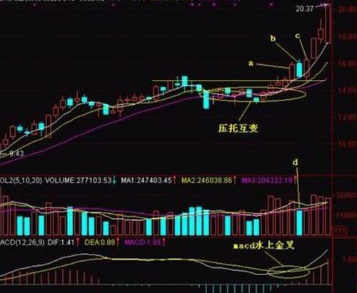 八字两阴两阳，两阳夹一小阴，后续走势会如何变化？