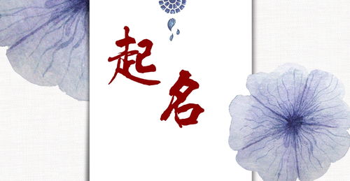 A. 极度正经派的解读