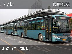307路在巨大雁塔的3个“隐藏停靠点”：哪个离景区最近？哪个最轻巧松踩坑？