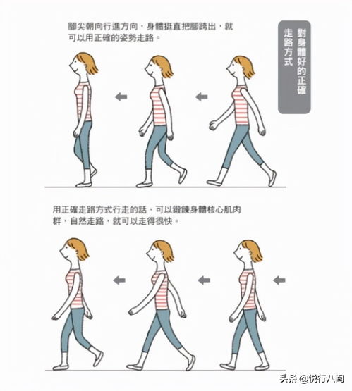 鹤行鸡步：小心驶得万年船