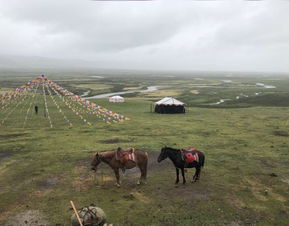 毛垭较大草原旅行线路推荐 (五一期间)