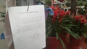 搬迁日记：8月15日