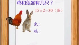 鸡兔同笼？想都别想！