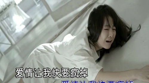 第一章：初遇——罂粟花下的迷恋