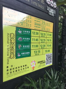 最佳游览时间段