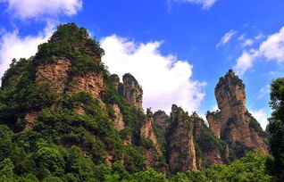 第一次去张家界，我以为只是爬山，后来啊被排队折磨到怀疑人生，但幸好遇到甜甜导游，让这次旅行成了灵魂的救赎