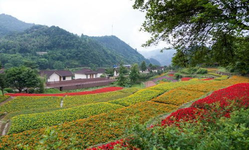 3. 篁岭