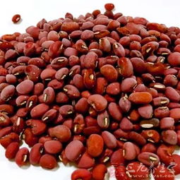 水：豆制品、水果，如绿豆、百香果——降温解渴，还能滋阴补肾。