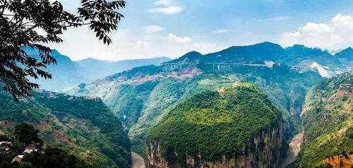 从云南到金华：一场充满意外和惊喜的奇妙旅程