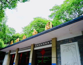 园区亮点：除了动物还有哪些？
