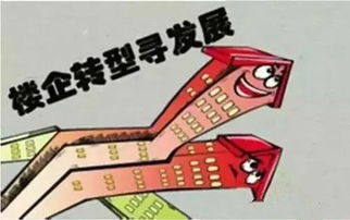 二、先别慌——先找破绽！