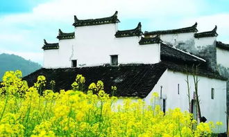 横店旅游贴士
