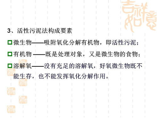 实际操作指南：手把手教你埋自己