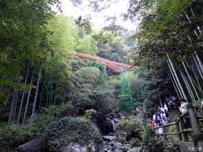 安吉这家东南亚风的温泉民宿