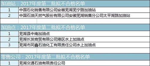 芜湖加油站探秘：从历史持续发展沿革到今后展望