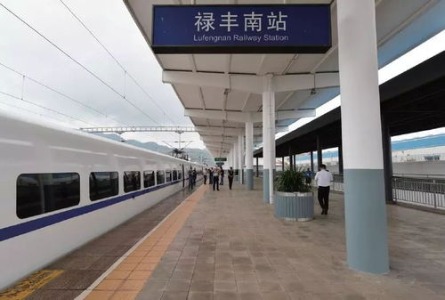 价格低得让人想哭