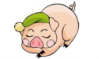 属猪人性格如何？属猪男生最喜欢哪种生肖女生？