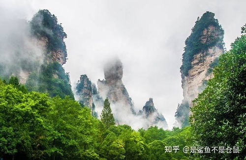 河南这破地方有啥好玩的？看完这篇你就懂了！