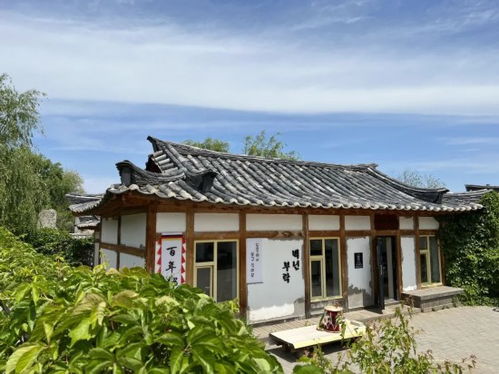 隔江相望的对岸到底是个啥样