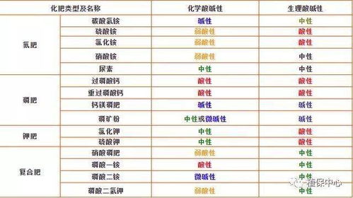 张招财名字评分优化建议