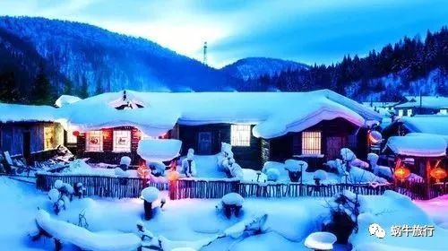 六、 情感小插曲：雪与人的温度交织成的回忆录