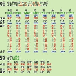 八字两正官两偏官,正官正印正财