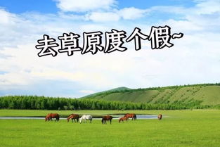 内蒙古草原游暑期好评如潮——真的想去吗这个？