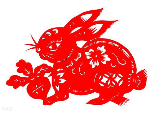 如何挑选催旺属兔事业的吉祥物风水，属兔今日如何运用风水招财？