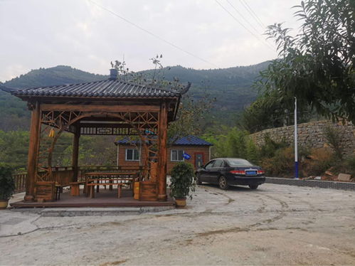 龟山花木场营地：梯田上的视野