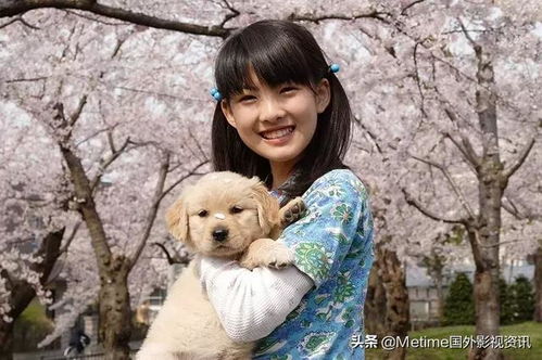 2026年出生的属狗女孩，姓贺，有没有什么好听的取名建议呢？