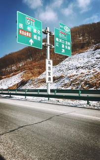 开场：轮胎碾过沙尘的怒吼声
