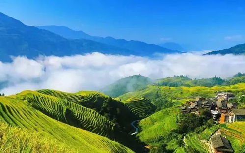 景区游玩指南（坑爹版）