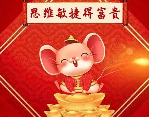 八字无正财偏财皆无，正财多还是偏财多对运势更有利？